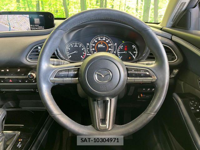 Mazda CX-30 2020-03 8035126-10