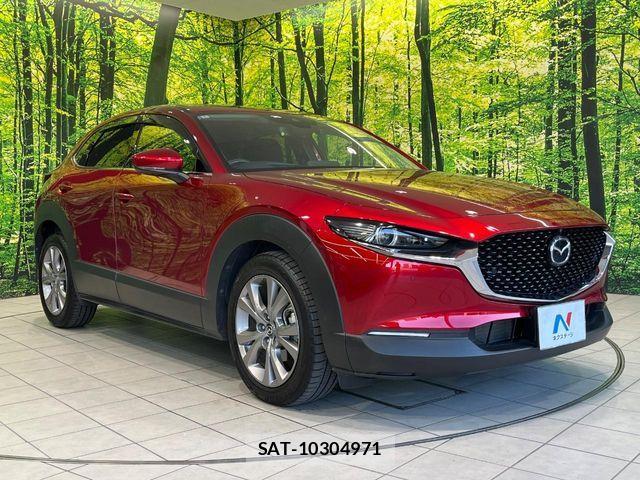 Mazda CX-30 2020-03 8035126-15