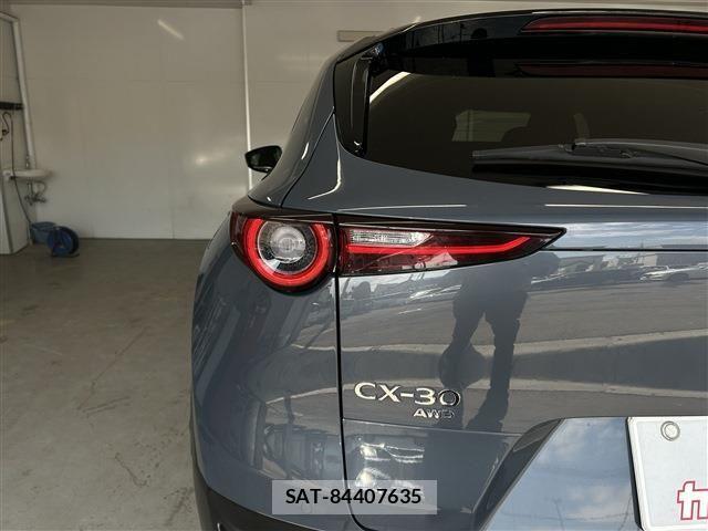 Mazda CX-30 2020-02 8073439-10