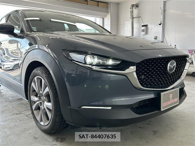 Mazda CX-30 2020-02 8073439-11
