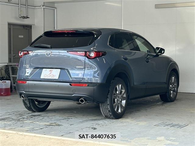 Mazda CX-30 2020-02 8073439-4