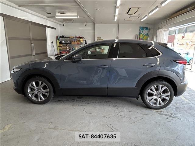 Mazda CX-30 2020-02 8073439-7