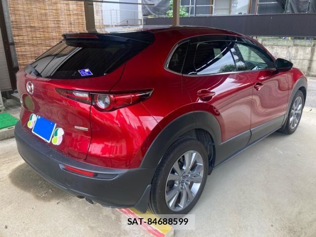 Mazda CX-30 2023-03 8073436-2