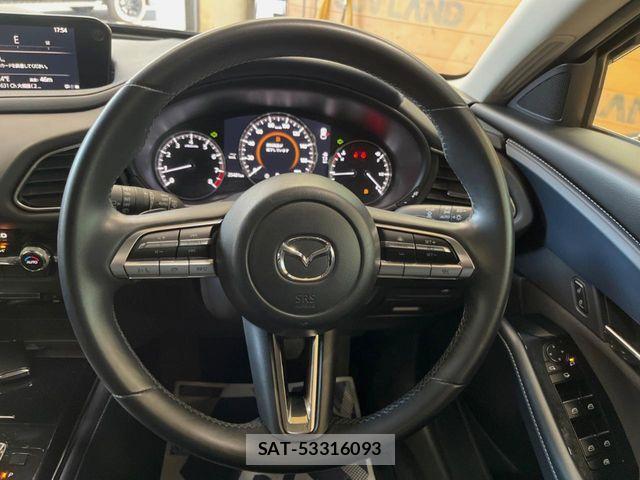 Mazda CX-30 2019-12 8098724-10