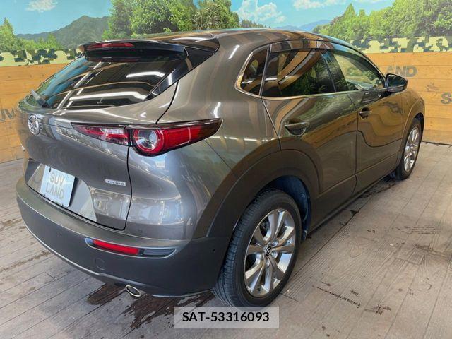 Mazda CX-30 2019-12 8098724-16