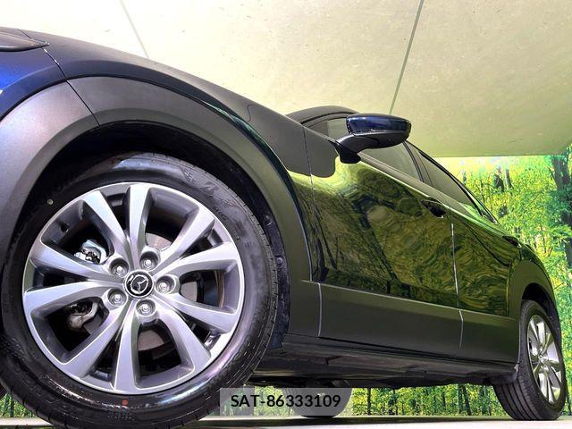 Mazda CX-30 2024-10 8098721-12