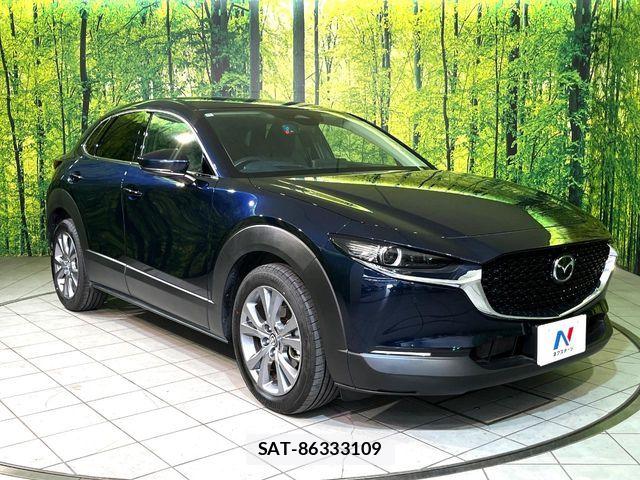 Mazda CX-30 2024-10 8098721-15