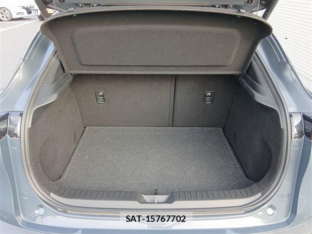 Mazda CX-30 2020-02 8098727-15