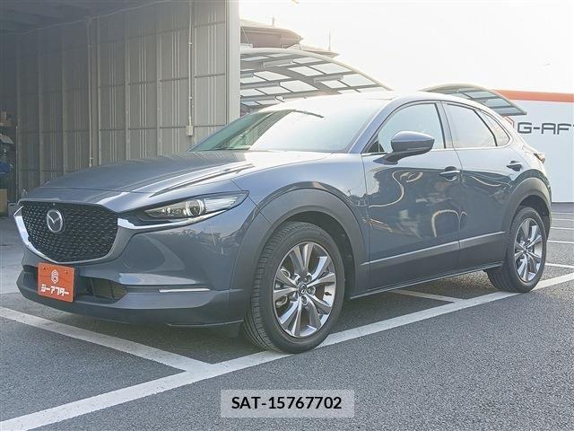 Mazda CX-30 2020-02 8098727-22