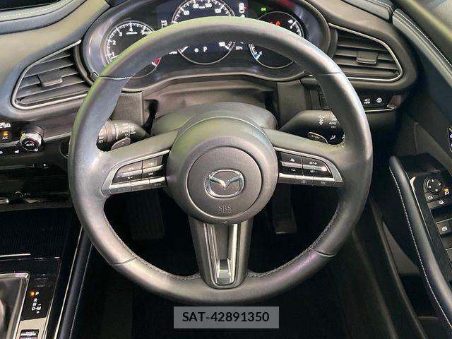 Mazda CX-30 2020-02 8098725-10