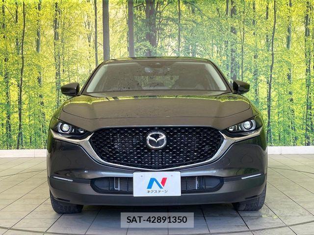 Mazda CX-30 2020-02 8098725-13