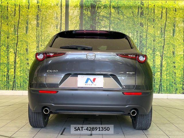 Mazda CX-30 2020-02 8098725-14