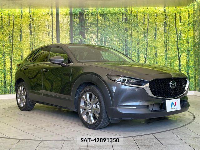 Mazda CX-30 2020-02 8098725-15