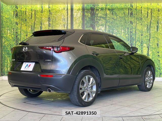 Mazda CX-30 2020-02 8098725-16