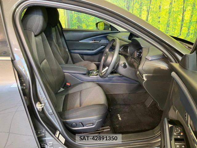 Mazda CX-30 2020-02 8098725-7