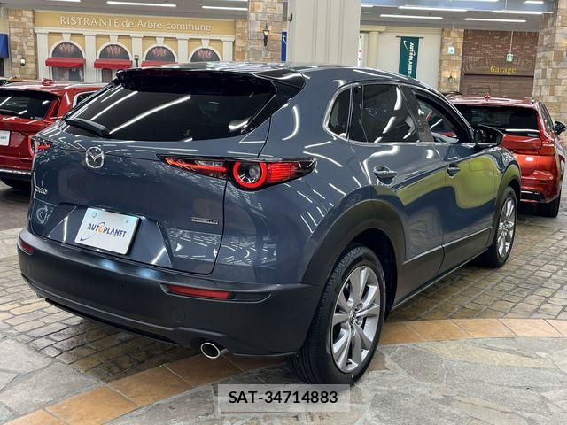 Mazda CX-30 2019-11 8098726-9