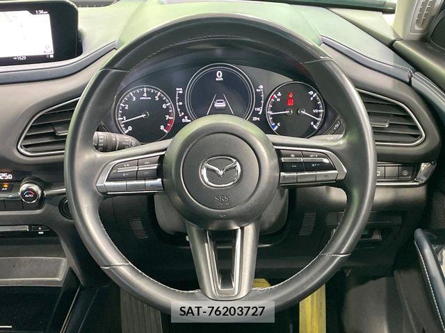 Mazda CX-30 2020-02 8129588-10