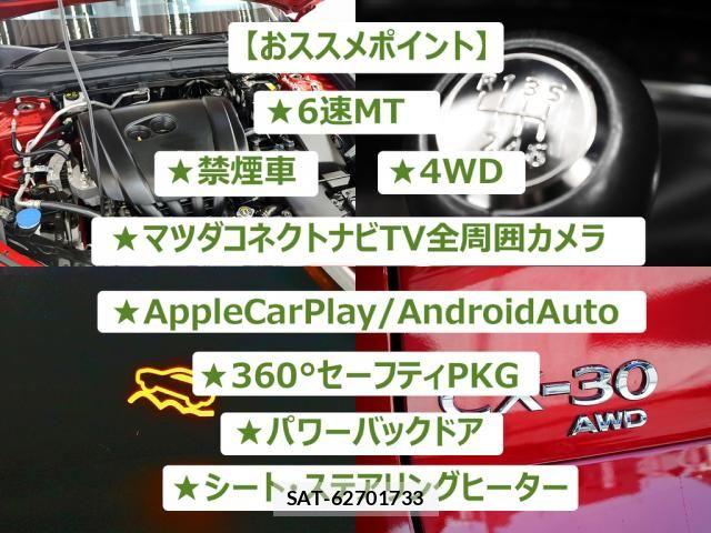 Mazda CX-30 2020-07 8129584-1