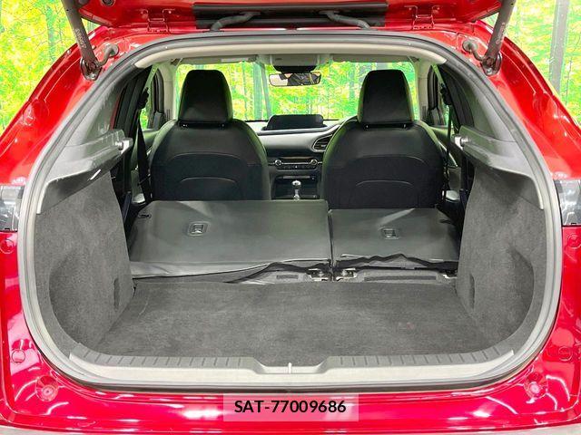Mazda CX-30 2019-10 8129585-10