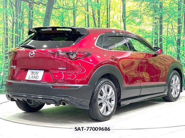 Mazda CX-30 2019-10 8129585-17