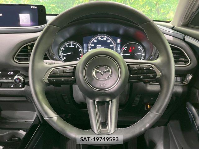 Mazda CX-30 2024-03 8145644-10