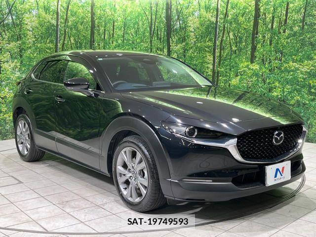 Mazda CX-30 2024-03 8145644-15