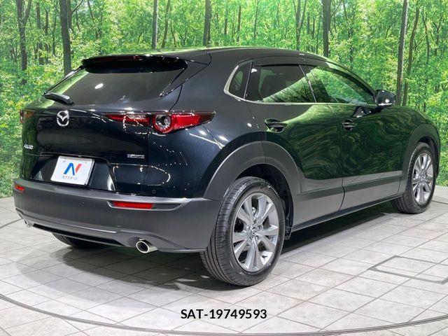 Mazda CX-30 2024-03 8145644-16