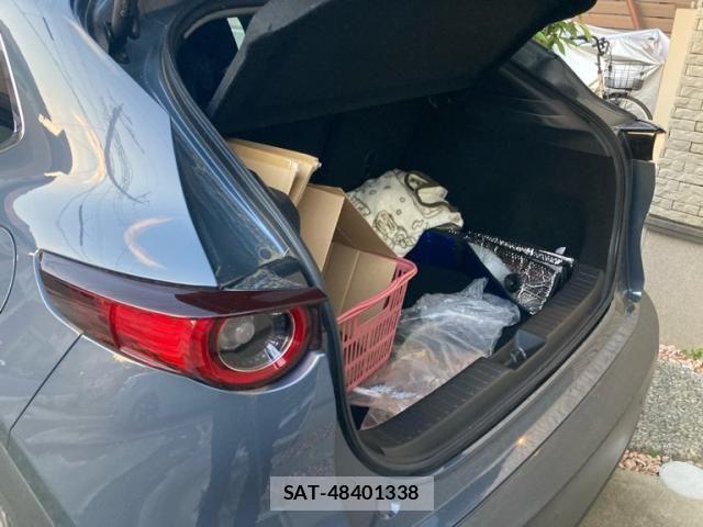 Mazda CX-30 2020-10 8145647-12