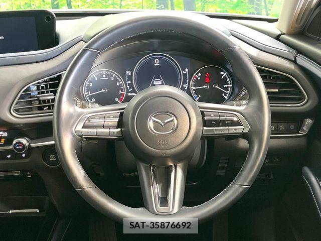 Mazda CX-30 2021-02 8158241-8