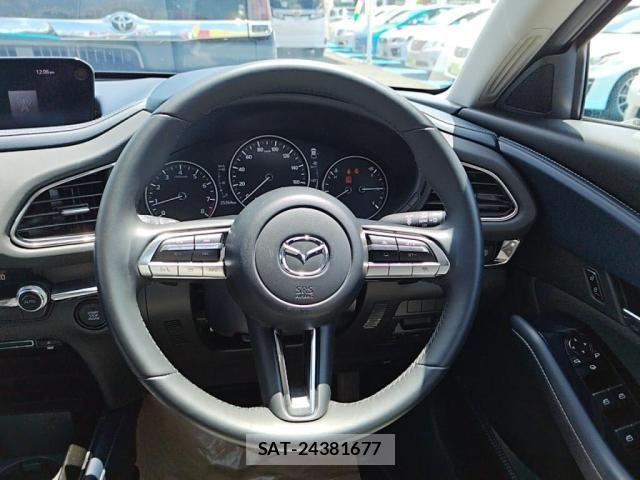 Mazda CX-30 2020-11 8207119-2