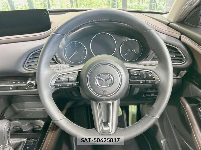 Mazda CX-30 2024-12 8207115-10