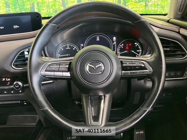 Mazda CX-30 2020-03 8207122-10