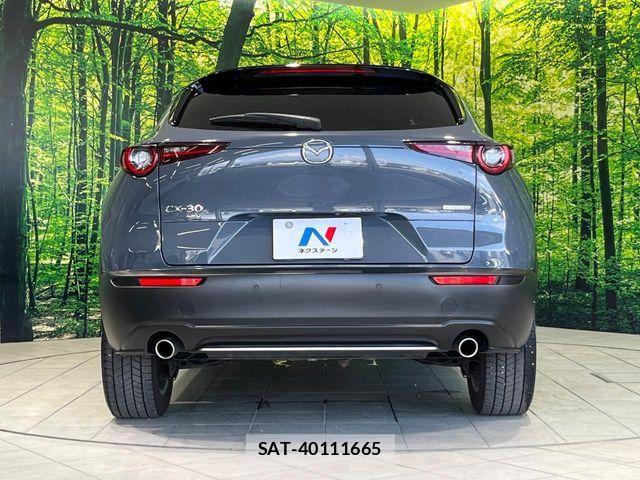Mazda CX-30 2020-03 8207122-14