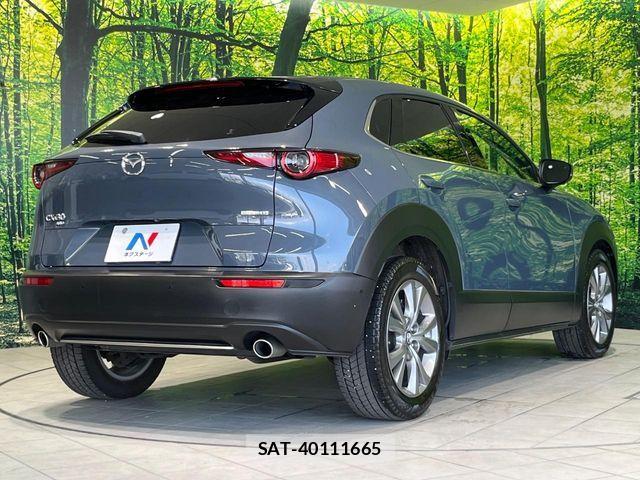 Mazda CX-30 2020-03 8207122-16