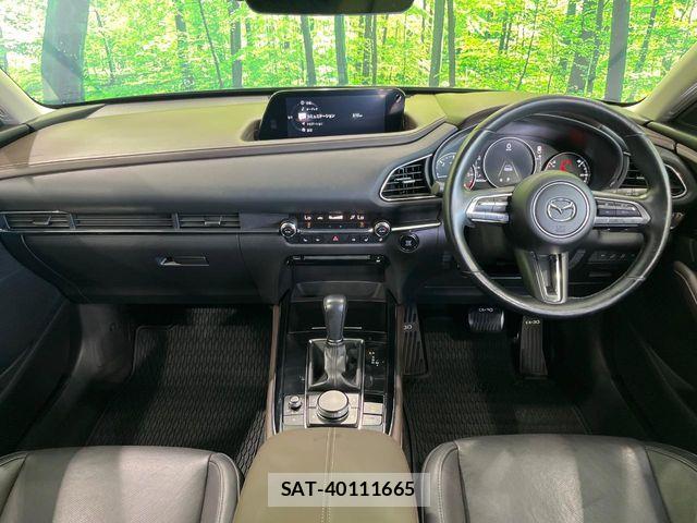 Mazda CX-30 2020-03 8207122-1