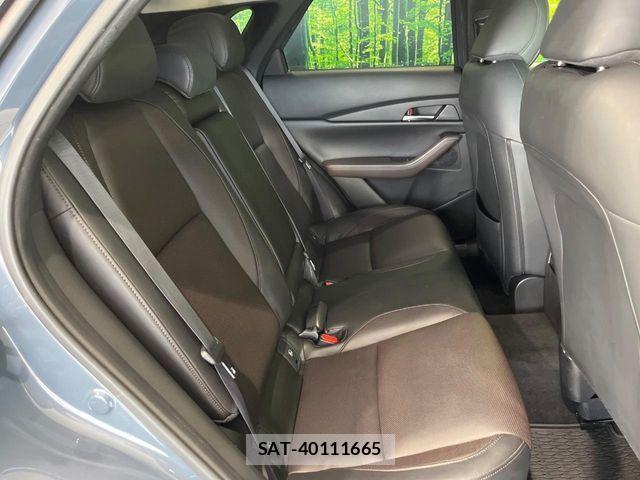 Mazda CX-30 2020-03 8207122-8