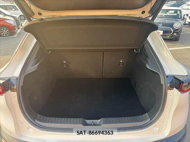 Mazda CX-30 2022-07 8207114-18