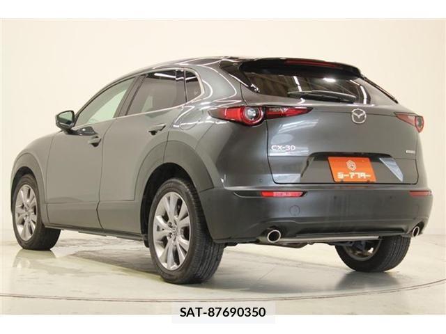 Mazda CX-30 2019-01 8207118-10