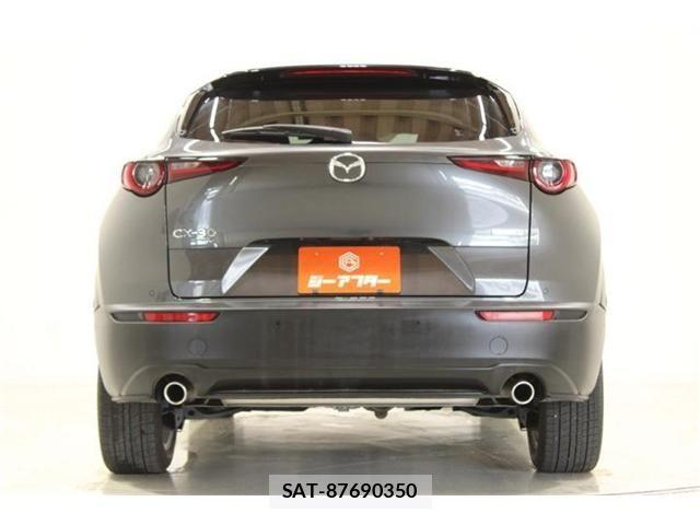 Mazda CX-30 2019-01 8207118-11