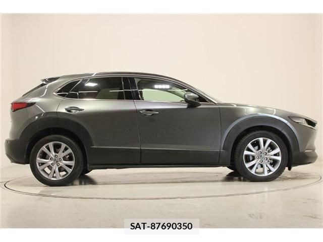 Mazda CX-30 2019-01 8207118-13