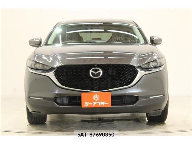 Mazda CX-30 2019-01 8207118-7