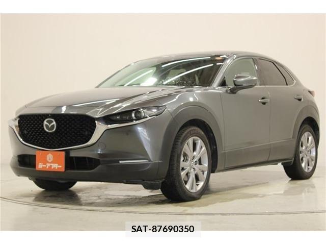Mazda CX-30 2019-01 8207118-8