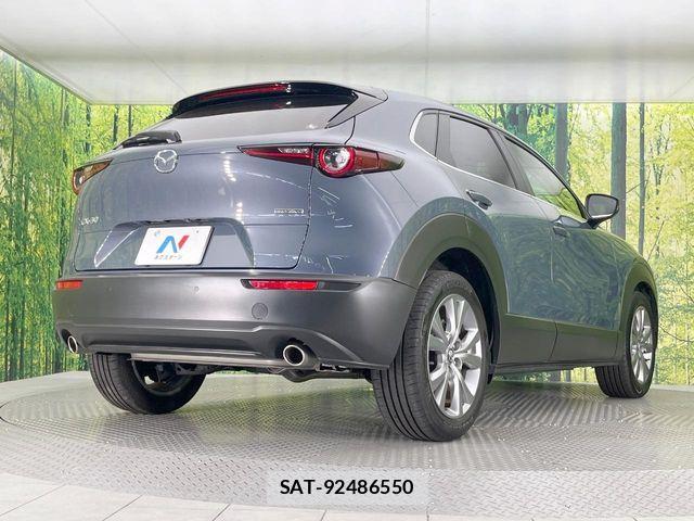 Mazda CX-30 2022-02 8207117-16