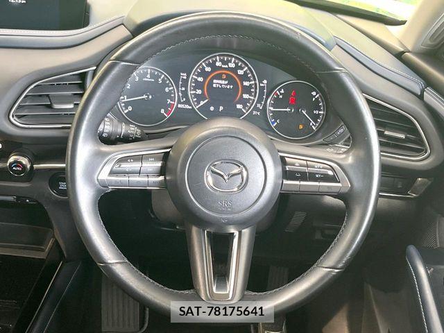 Mazda CX-30 2021-10 8207126-9