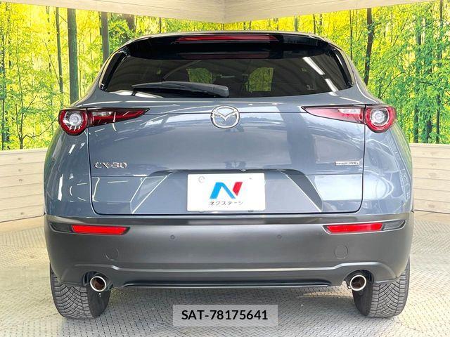 Mazda CX-30 2021-10 8207126-13
