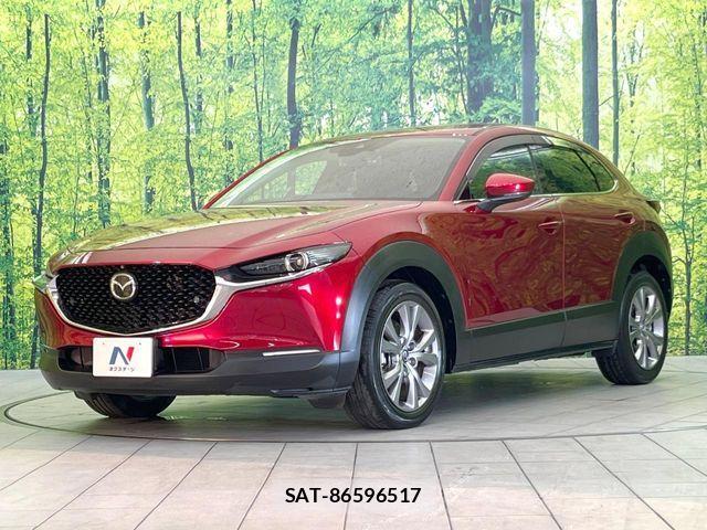 Mazda CX-30 2020-03 8207125-13
