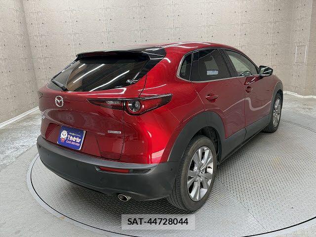 Mazda CX-30 2019-12 8207124-2
