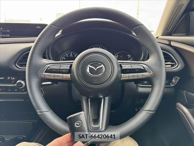 Mazda CX-30 2022-01 8229468-6
