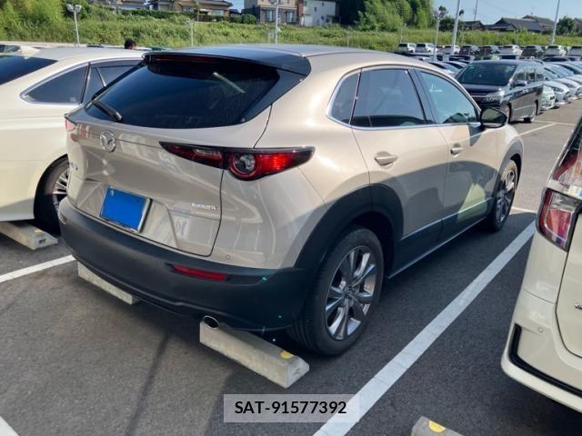 Mazda CX-30 2022-03 8229469-3
