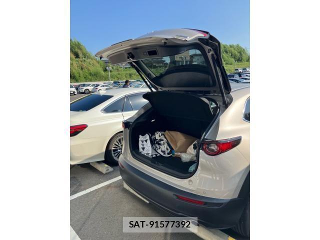 Mazda CX-30 2022-03 8229469-5